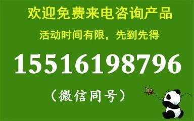 美国猪肉市场动态趋势深度探讨，今日猪价及早期价格分析