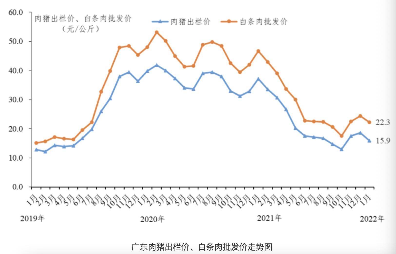 广东猪肉最早价格今日价