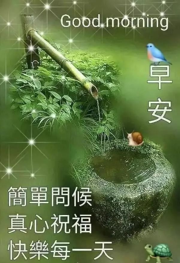 最近最早的早安问候，开启美好一天的正确方式